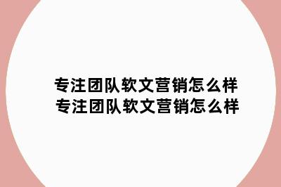 专注团队软文营销怎么样 专注团队软文营销怎么样